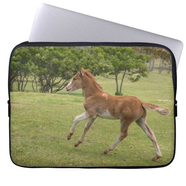 Easter Island aka Rapa Nui Laptop Sleeve (Front)