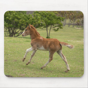 Easter Island aka Rapa Nui Mouse Mat