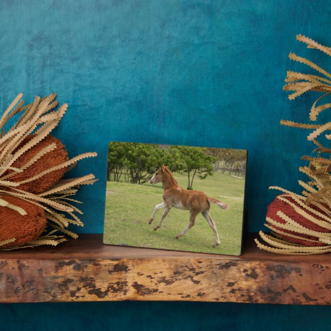 Easter Island aka Rapa Nui Plaque (Side)