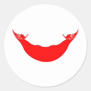 Easter Island Flag Classic Round Sticker