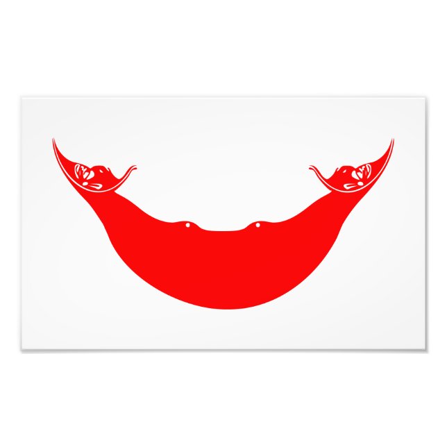 Easter Island Flag Photo Print (Front)