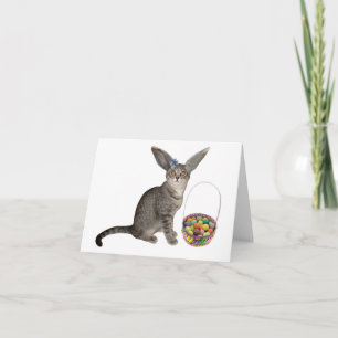Easter Kitten Card