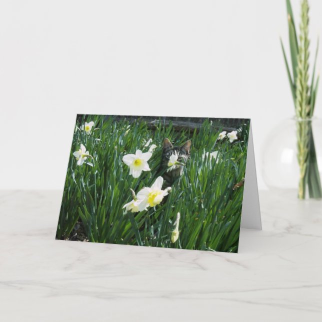 EASTER KITTEN IN FLOWERS HOLIDAY CARD (Front)