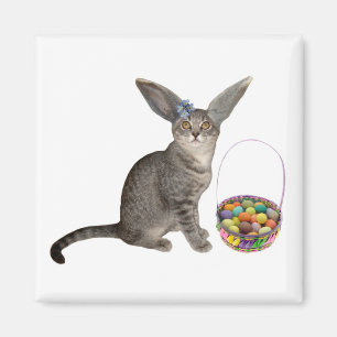 Easter Kitten Magnet