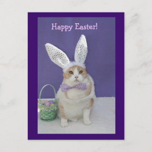 Easter Kitty Holiday Postcard