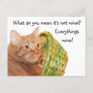 Easter kitty holiday postcard