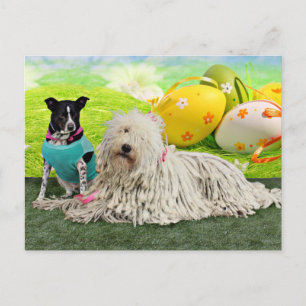 Easter - Komondor - Zoey - Basenji X - Jasper Holiday Postcard