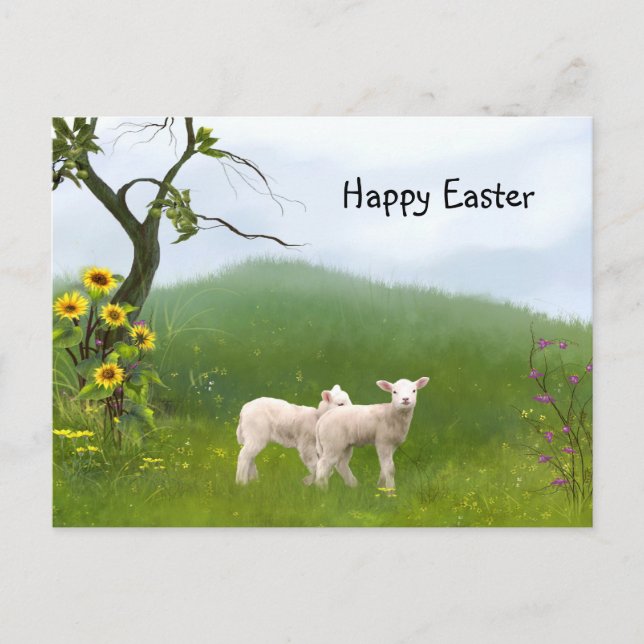 Easter Lambs Holiday Postcard (Front)