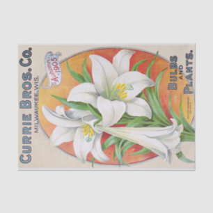 Easter Lily 1905 Vintage Floral Tissue Paper