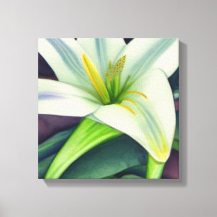Easter Lily Canvas Print