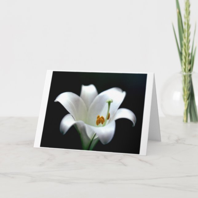 Easter Lily Holiday Card (Front)