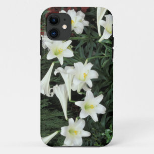 Easter Lily (Lilium regale) iPhone 11 Case