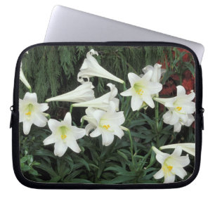 Easter Lily (Lilium regale) Laptop Sleeve