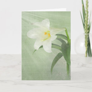 Easter Lily On Green Holiday Card