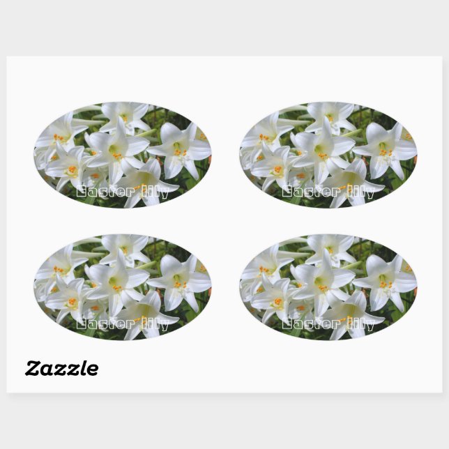 Easter lily [Oval Seal] 楕円形シール Oval Sticker (Sheet)