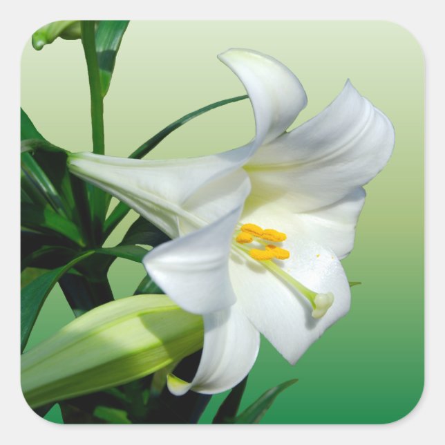 Easter Lily Sticker (Front)