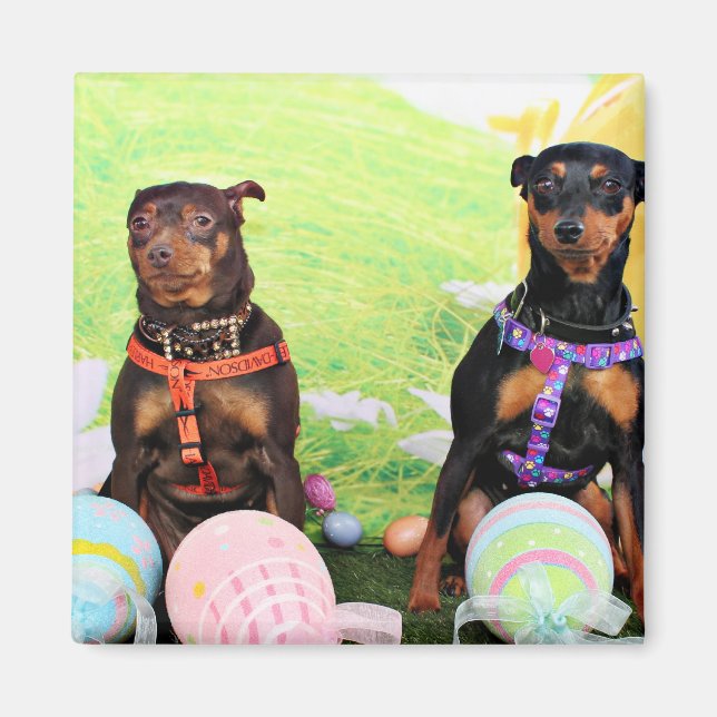 Easter - Min Pin - Zena and Gidget Magnet (Front)