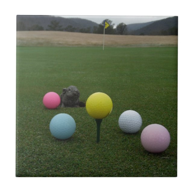 Easter mountain golf course tile (Front)