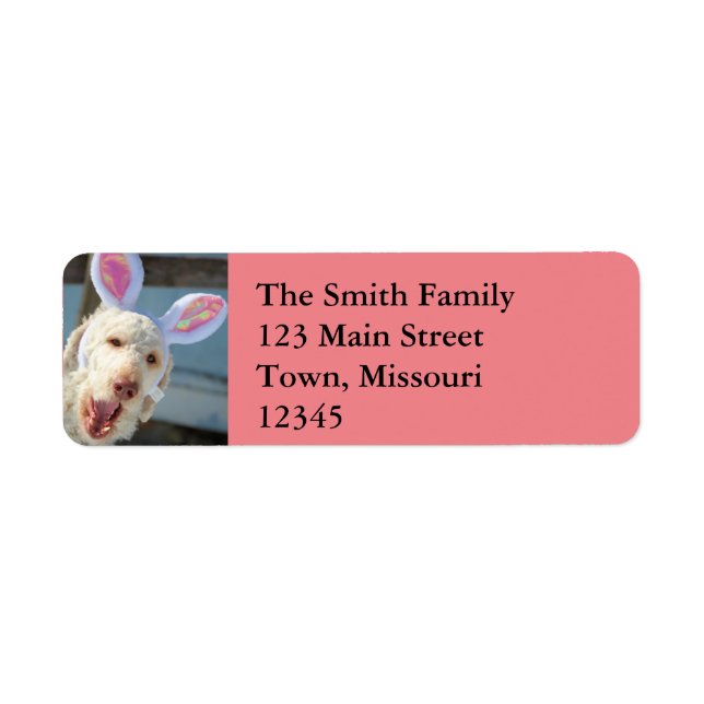 Easter Ollie (Front)