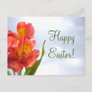 Easter Orange Lily Postcard