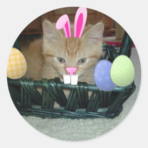 Easter Orange Tabby Kitten Classic Round Sticker