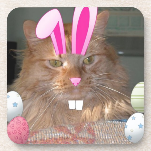 Easter Orange Tabby Kitty Cat Coaster (Front)