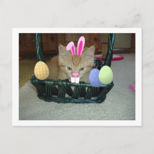 Easter Orange Tabby Kitty Cat Holiday Postcard