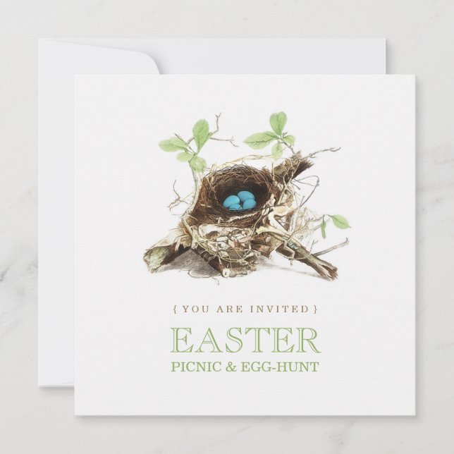Easter Picnic Egg Hunt Party invitation (Front)
