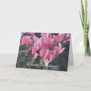 Easter Pink Cyclamen Card