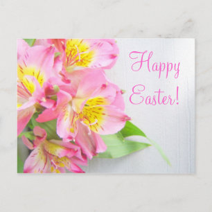 Easter Pink Lily Postcard