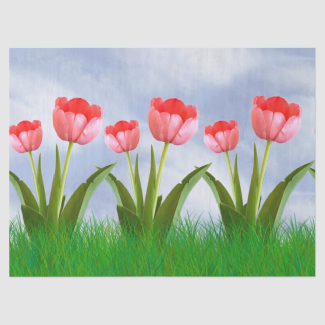 Easter Pink Tulips Floral Photography & Blue Sky Tissue Paper (Front)