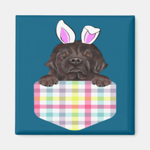 Easter Plaid Newfoundland Bunny Dog Illustration Magnet
