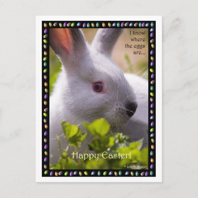 Easter Postcard (Front)
