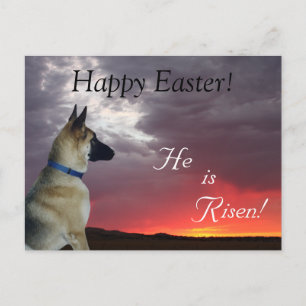 Easter Postcard German Shepherd He Has Risen