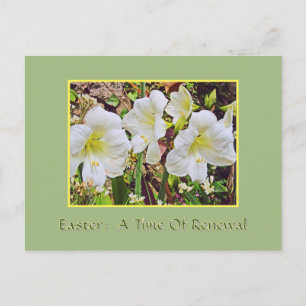 EASTER POSTCARD/WHITE DAYLILIES POSTCARD