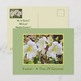 EASTER POSTCARD/WHITE DAYLILIES POSTCARD