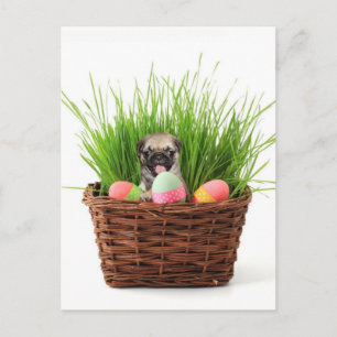 Easter pug puppy holiday postcard
