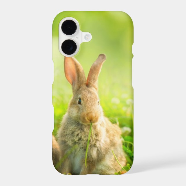 Easter Rabbits (Back)