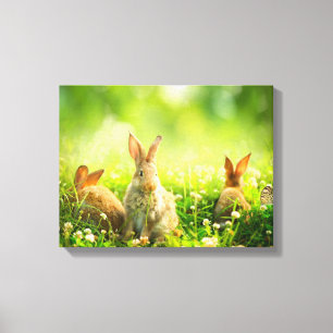 Easter Rabbits Canvas Print
