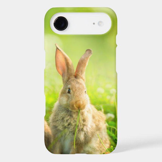 Easter Rabbits Case-Mate iPhone Case (Back)