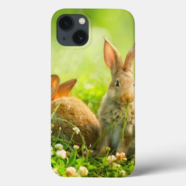 Easter Rabbits Case-Mate iPhone Case (Back)