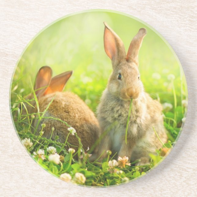 Easter Rabbits Coaster (Front)