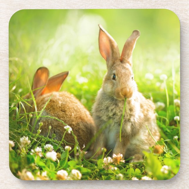 Easter Rabbits Coaster (Front)