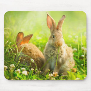Easter Rabbits Mouse Mat