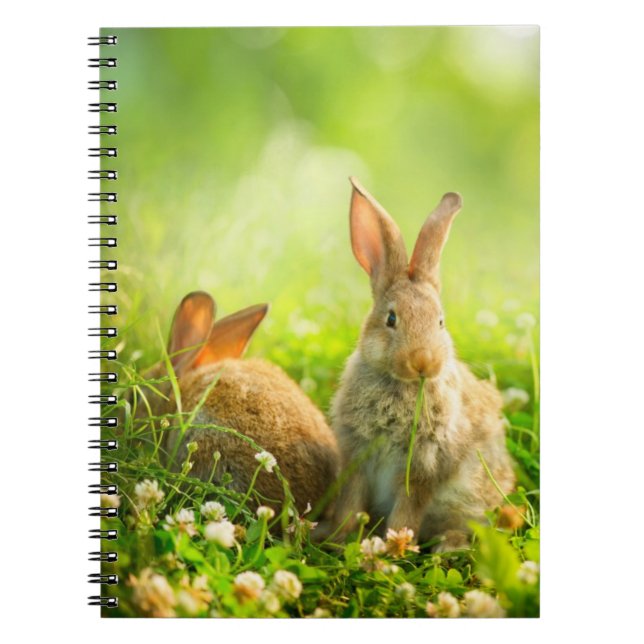 Easter Rabbits Notebook (Front)
