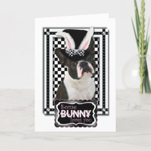 Easter - Some Bunny Loves You - Boston Terrier Holiday Card