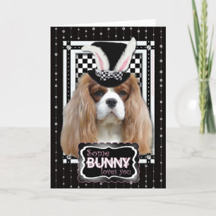 Easter - Some Bunny Loves You - Cavalier Blenheim Holiday Card