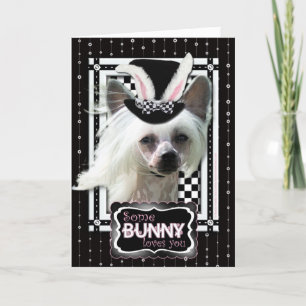 Easter - Some Bunny Loves You - Chinese Crested Holiday Card