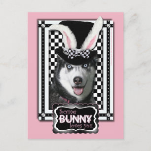 Easter - Some Bunny Loves You - Husky Holiday Postcard