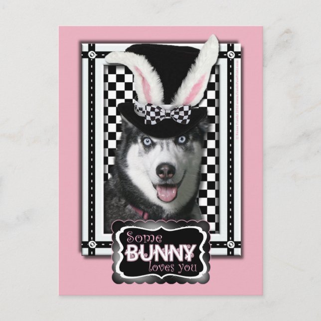Easter - Some Bunny Loves You - Husky Holiday Postcard (Front)